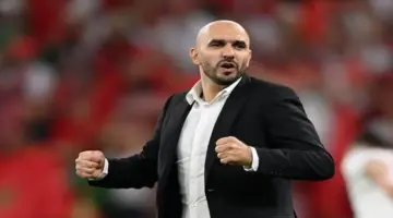 توابع زلزال العميد .. الركراكي يقترب من قيادة منتخب السعودية بنسبة 80%